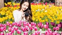 Turis mengambil foto bunga tulip di Kebun Raya Nanjing Zhongshan, Nanjing, Provinsi Jiangsu, China, Senin (13/3/2023).    