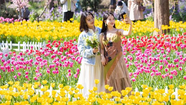 NANJING, CHINA - MARCH 13: Tourists take photos of tulip flowers at Nanjing Zhongshan Botanical Garden on March 13, 2023 in Nanjing, Jiangsu Province of China. (Photo by Su Yang/VCG via Getty Images)