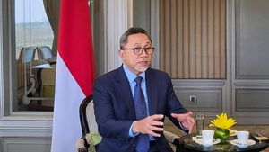 Jurus Mendag Kejar Target Perdagangan RI-India US$ 50 Miliar di 2025