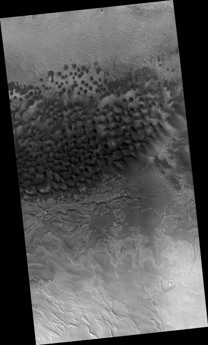 An undated image from NASA's Mars Reconnaissance Orbiter shows circular sand dunes on the surface of Mars, in this handout image obtained by Reuters on March 14, 2023. NASA/Jpl-Caltech/University of Arizona/Handout via REUTERS  THIS IMAGE HAS BEEN SUPPLIED BY A THIRD PARTY. MANDATORY CREDIT. NO RESALES. NO ARCHIVES