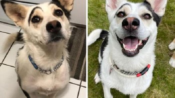 Hari ke-1 vs hari ke-365. Foto: Boredpanda