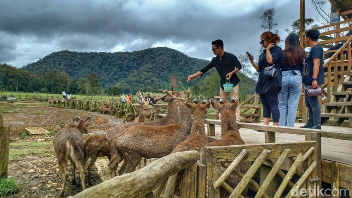 Ranca Upas dibuka lagi untuk wisatawan.