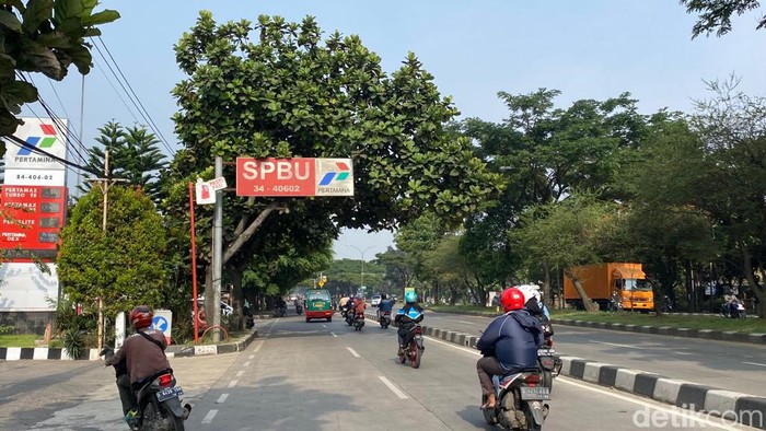 Sejumlah pohon yang berada di Jalan Raya Soekarno-Hatta, Kota Bandung, perlu dilakukan perawatan. Pasalnya, dahan dari pohon itu mengetahui ke badan jalan dan duanya rimbun.