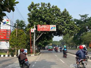Awas! Pohon Menggelayut ke Jalan di Jalur Soekarno-Hatta Bandung