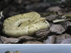 15 Tempat Misterius yang Terlarang Dimasuki Manusia