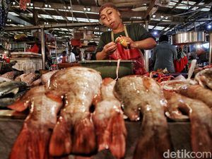 Jelang Ramadan, Harga Ikan Laut Stabil