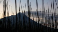 Asap solfatara keluar dari kubah lava Gunung Merapi terlihat dari Suwanting, Banyuroto, Magelang, Jawa Tengah.