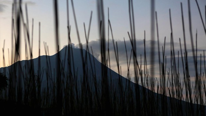 Asap solfatara keluar dari kubah lava Gunung Merapi terlihat dari Suwanting, Banyuroto, Sawangan, Magelang, Jawa Tengah, Rabu (15/3/2023). Menurut data BPPTKG periode pengamatan 15 Maret 2023 pukul 00.00-06.00 WIB telah terjadi satu kali luncuran awan panas guguran dan 30 kali guguran dengan jarak luncur maksimal 1.500 meter ke arah barat daya. ANTARA FOTO/Hendra Nurdiyansyah/nym.