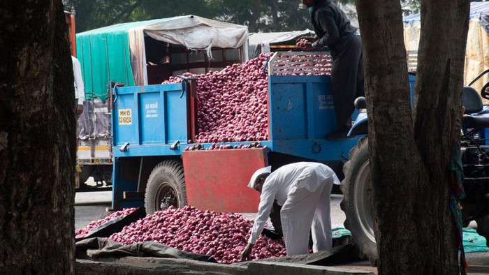 Harga bawang di Maharashtra, India, tiba-tiba anjlok selama beberapa minggu terakhir. Harga bawang di pasar grosir, hanya 200-400 rupee/100 kg.