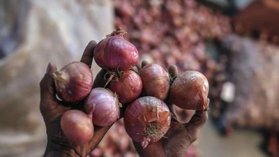 Krisis Harga Bawang di Maharashtra India, Petani Merana