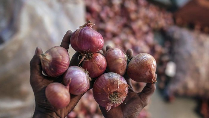 Harga bawang di Maharashtra, India, tiba-tiba anjlok selama beberapa minggu terakhir. Harga bawang di pasar grosir, hanya 200-400 rupee/100 kg.