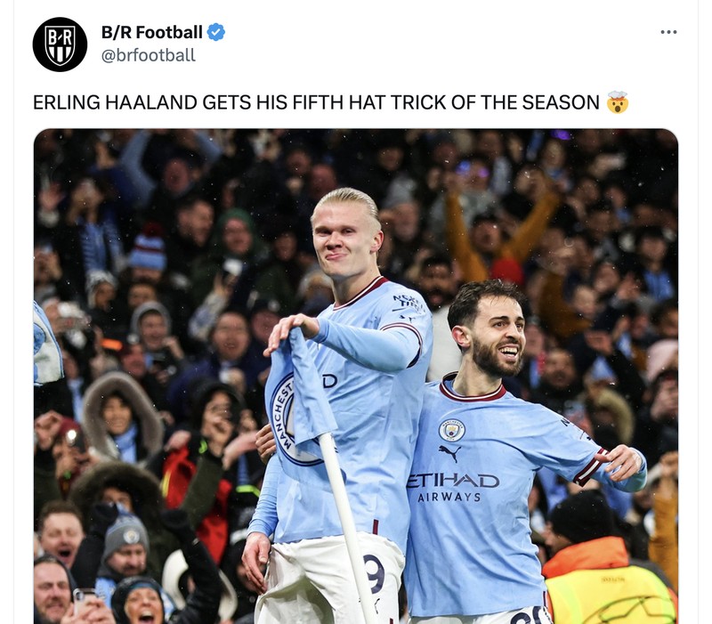 Meme Haaland