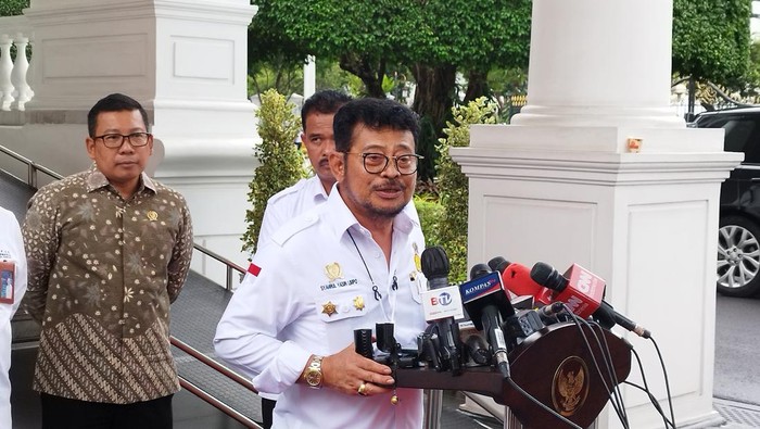 Mentan Syahrul Yasin Limpo/Herdi Alif Alhikam-detikcom