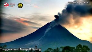 Flora dan Fauna Adaptif di Gunung Merapi