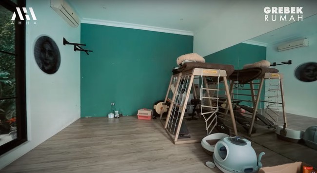 Di bagian belakang rumahnya juga terdapat ruangan khusus untuk kucingnya. Arie sendiri mengatakan jika ia dan keluarga sebenarnya sudah tinggal di rumah tersebut sejak tahun 2016. Namun pada tahun 2019 rumahnya itu sudah dibangun ulang. Foto: YouTube/AH