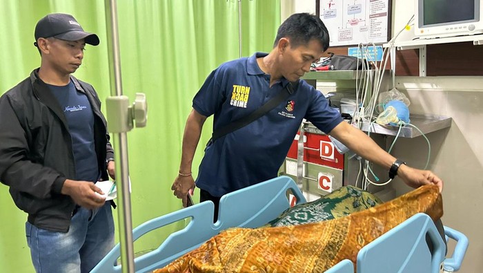 Seekor sapi jantan mengamuk dan menyeruduk pemiliknya hingga tewas setelah dikawinkan dengan sapi betina.