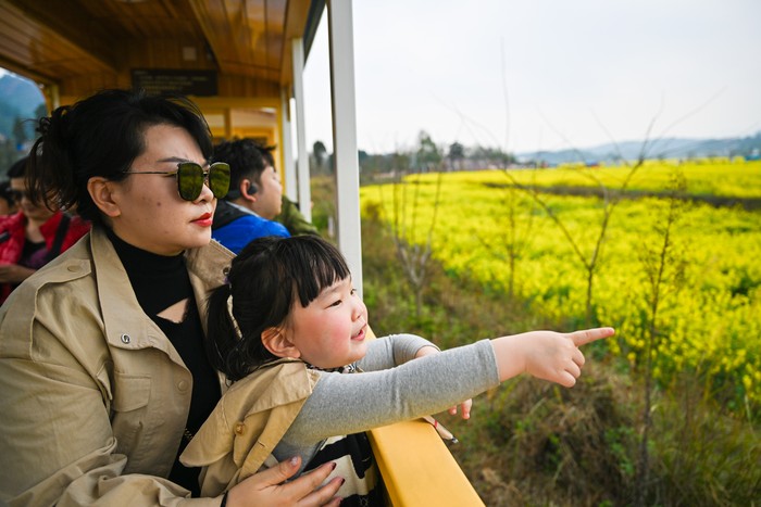 QIANNAN, CHINA - MARCH 11: Tourists sitting on a sightseeing bus enjoy rapeseed flower scenery at Golden Sea and Snow Mountains scenic area on March 11, 2023 in Guiding County, Qiannan Buyei and Miao Autonomous Prefecture, Guizhou Province of China. (Photo by VCG/VCG via Getty Images)