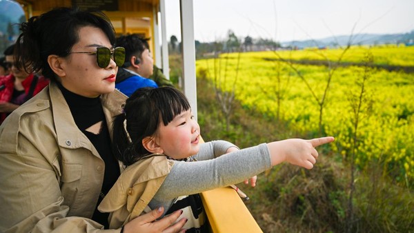 Turis yang duduk di bus wisata menikmati pemandangan bunga di Kabupaten Guiding, Qiannan Buyei dan Prefektur Otonomi Miao, Provinsi Guizhou, China, Sabtu (11/3/2023).  