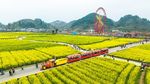 Serunya Keliling Kebun Bunga di China dengan Kereta Wisata