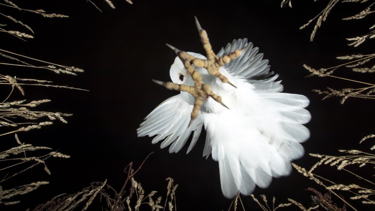 Sony World Photography Awards 2023 - Open Competition Sony World Photography Awards 2023 - Open Competition