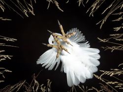 Karya Jawara Kontes Foto Sony World Photography 2023 Bikin Terpukau