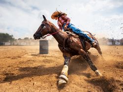 Karya Jawara Kontes Foto Sony World Photography 2023 Bikin Terpukau