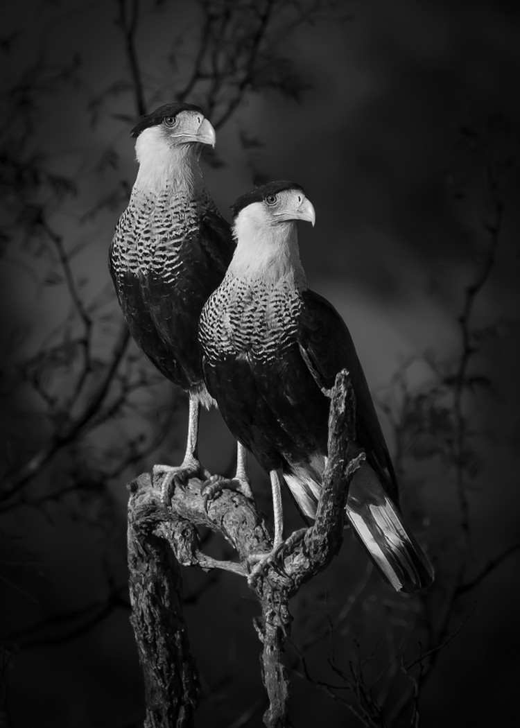Sony World Photography Awards 2023 - Open Competition Sony World Photography Awards 2023 - Open Competition