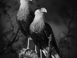 Karya Jawara Kontes Foto Sony World Photography 2023 Bikin Terpukau