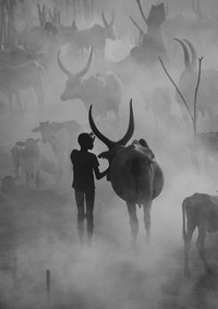 Sony World Photography Awards 2023 - Open Competition