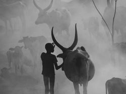 Karya Jawara Kontes Foto Sony World Photography 2023 Bikin Terpukau