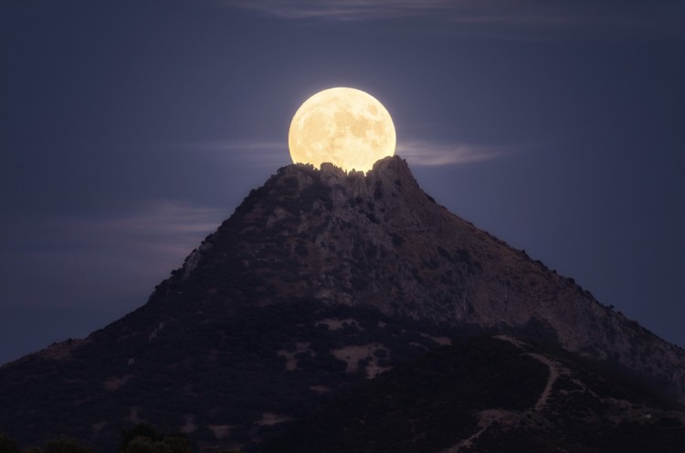 Sony World Photography Awards 2023 - Open Competition Sony World Photography Awards 2023 - Open Competition