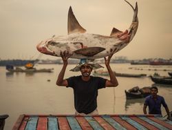 Karya Jawara Kontes Foto Sony World Photography 2023 Bikin Terpukau