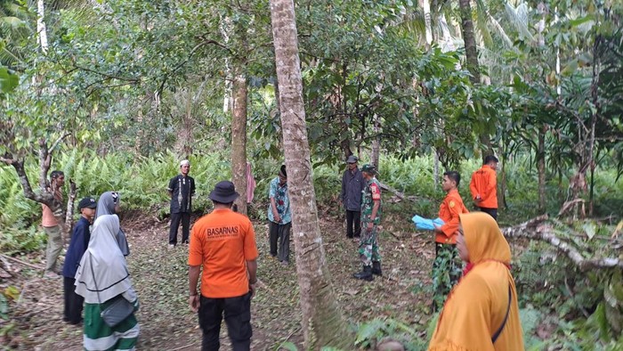 Tim SAR saat melakukan pencarian nenek 83 yang hilang di kebunnya. Foto: Dok. Basarnas Nias