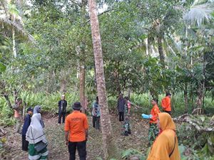 Nenek 83 Tahun di Nias Utara Hilang 3 Hari Usai Berangkat ke Kebun