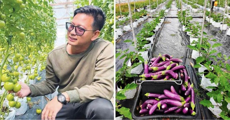 Cuan! Petani Sayur Sukses Ini Hasilkan Rp 1,3 M per Bulan