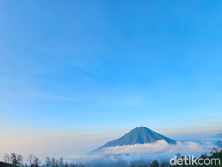 Berpetualang di Alam Bareng Galaxy S23