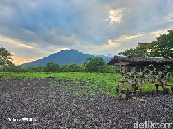 Berpetualang di Alam Bareng Galaxy S23