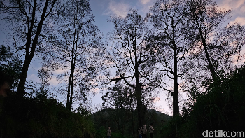 Memotret di kondisi yang gelap merupakan hal yang cukup menantang karena hasil gambar jadi terlihat redup, banyak noise, dengan detail yang kabur, apalagi jika diambil menggunakan kamera dengan teknologi dan resolusi terbatas. Foto: Rachmatunnisa