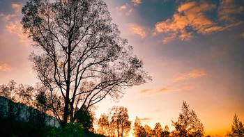 Mengabadikan pemandangan alam dengan warna yang lebih vivid dan detail mengesankan menggunakan resolusi 200 MP pada Galaxy S23 Ultra. Foto: Samsung Indonesia