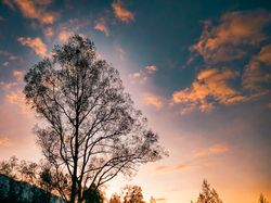 Berpetualang di Alam Bareng Galaxy S23