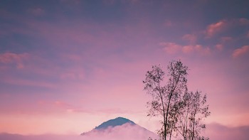 Menggunakan night mode dengan resolusi 12 MP untuk mengabadikan pemandangan alam dengan detail yang persisi meski dalam kondisi gelap. Foto: Samsung Indonesia