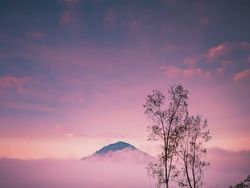 Berpetualang di Alam Bareng Galaxy S23