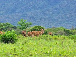 Berpetualang di Alam Bareng Galaxy S23