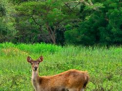 Berpetualang di Alam Bareng Galaxy S23