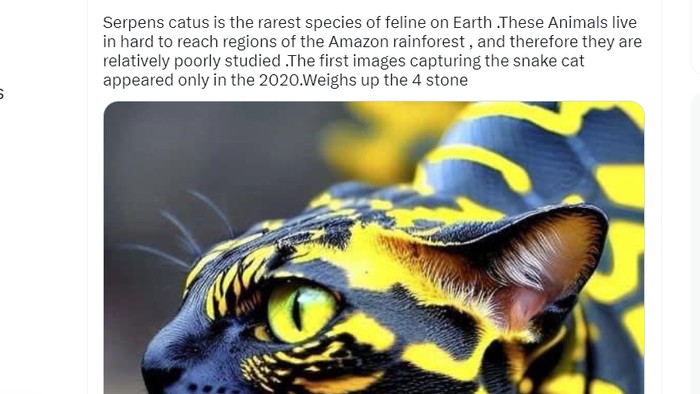 Foto Hoax Kawin Silang Kucing-Ular Viral di Medsos