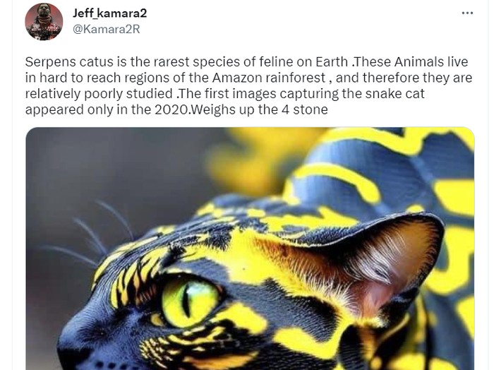 Foto Hoax Kawin Silang Kucing-Ular Viral di Medsos