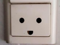 Potret Pareidolia di Kehidupan Sehari-hari yang Bikin Mata Terkecoh