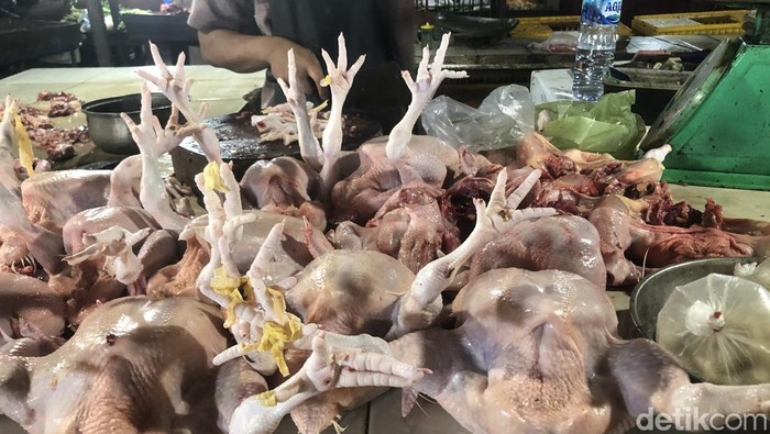 Harga ayam di Pasar Palapa Medan mengalami kenaikan