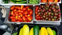 Setiap menu makanan di bistro restoran ini menggunakan bahan-bahan dari petani lokal. Mereka juga punya perkebunan sendiri loh. Hebat ya? Foto: onlyinyourstate.com