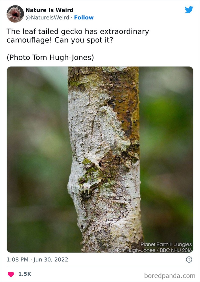 Keanehan dunia yang bikin melotot